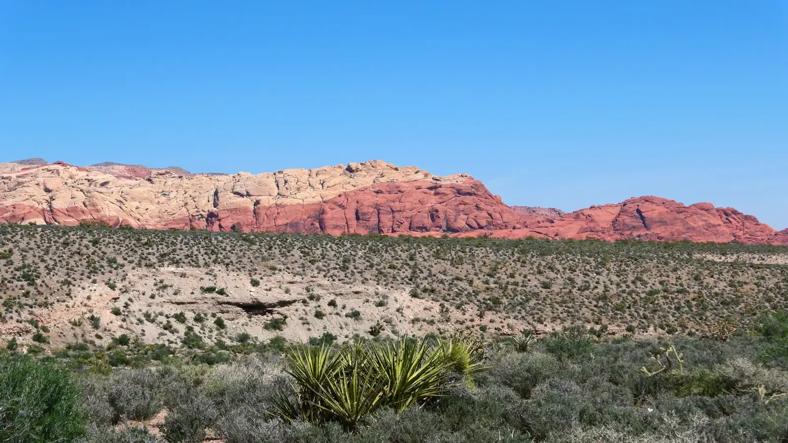 Red Rock Canyon sandstone cliffs and desert scrub near Las Vegas, Nevada.